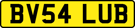 BV54LUB
