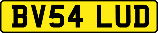 BV54LUD