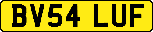 BV54LUF