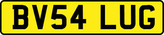 BV54LUG