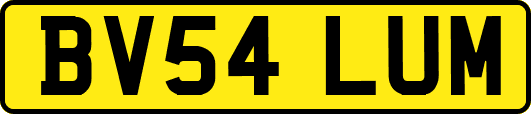 BV54LUM