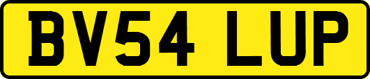 BV54LUP