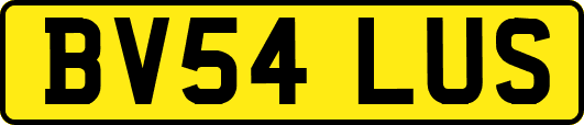 BV54LUS