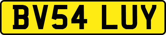 BV54LUY