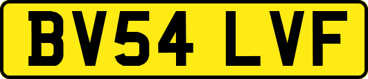 BV54LVF