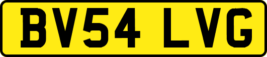 BV54LVG