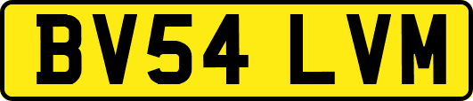 BV54LVM