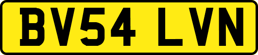 BV54LVN