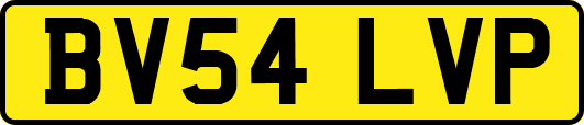 BV54LVP