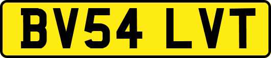 BV54LVT