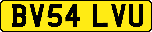 BV54LVU