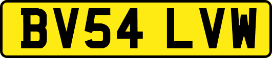 BV54LVW