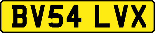 BV54LVX