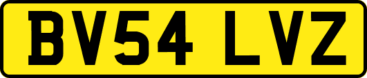 BV54LVZ