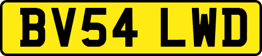 BV54LWD
