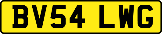 BV54LWG