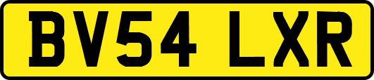 BV54LXR