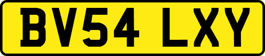 BV54LXY