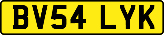 BV54LYK