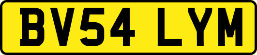 BV54LYM