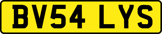 BV54LYS