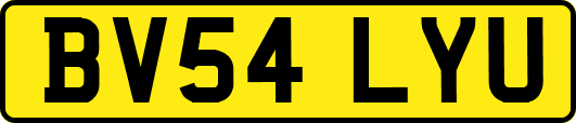 BV54LYU