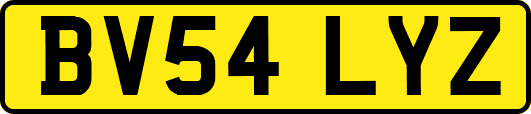 BV54LYZ
