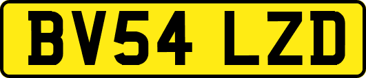 BV54LZD