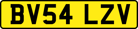 BV54LZV