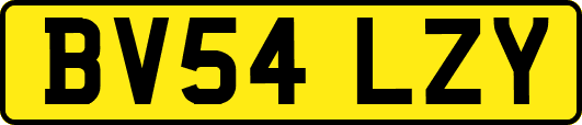 BV54LZY