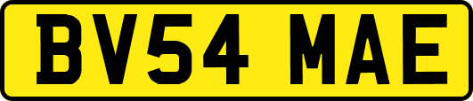 BV54MAE