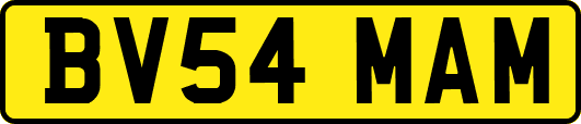 BV54MAM