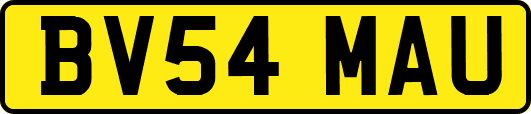 BV54MAU