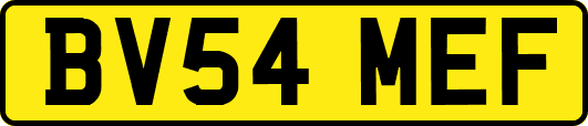 BV54MEF