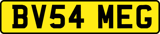 BV54MEG