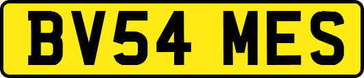 BV54MES