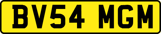 BV54MGM