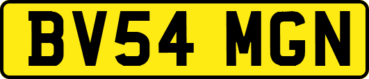 BV54MGN