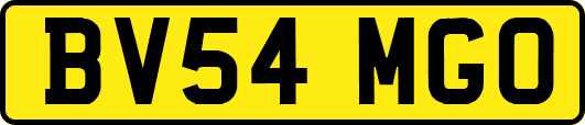 BV54MGO
