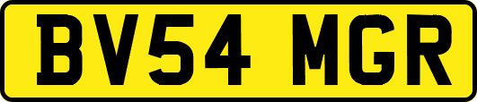 BV54MGR