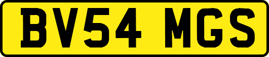 BV54MGS