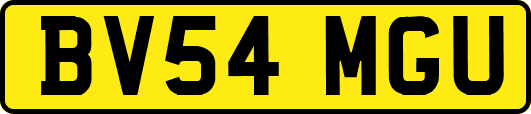 BV54MGU
