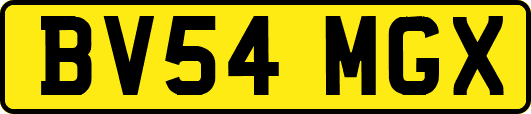 BV54MGX