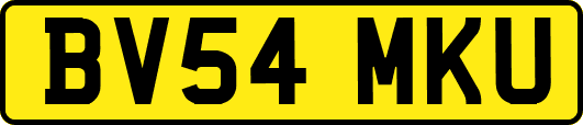 BV54MKU