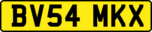 BV54MKX