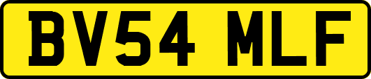 BV54MLF