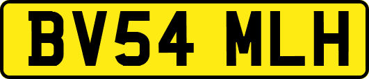 BV54MLH