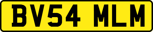 BV54MLM