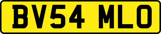 BV54MLO