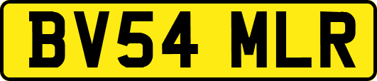 BV54MLR
